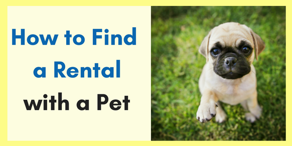 How_to_Find_a_Rental_with_a_Pet_CTA_image