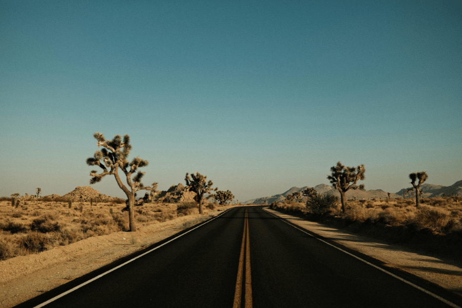 29_Palms_