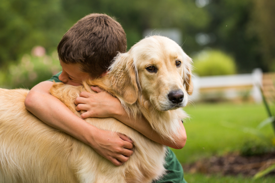 young boy hugging a golden retriever dog