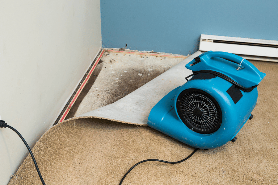high pressure vacuum drying carpet