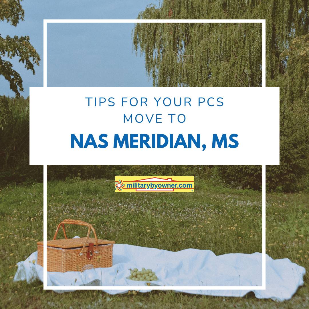 green willow tree and grass with text tips for your PCS move to NAS Meridian MS