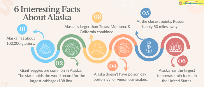 Infographic with colorful circles and text titled 6 Interesting Facts About Alaska