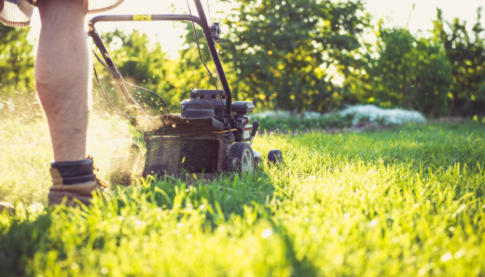 Man in short brown boots mowing grass with sun shining across green lawn.