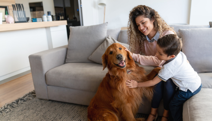 Woman in pink long-sleeve shirt with blue collar underneath sits on couch with son in white polo petting golden retriever. 