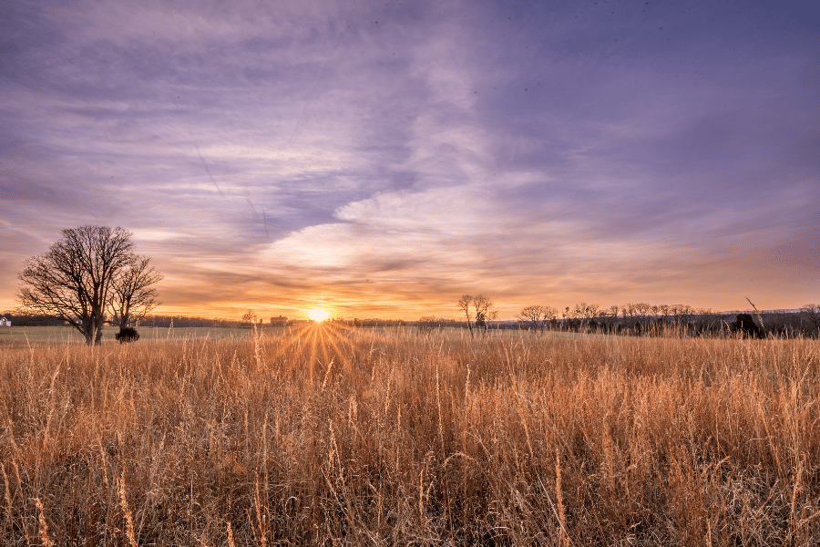 NRO Chantilly Housing & Information MilitaryByOwner