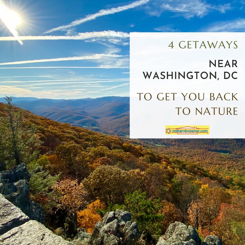 4_Getaways_near_Washington_DC_(Instagram_Post_(Square))_(800x800)