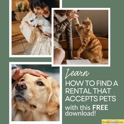 images of poeple with pets cat dog and rabbit with text learn how to find a rental that accepts pets