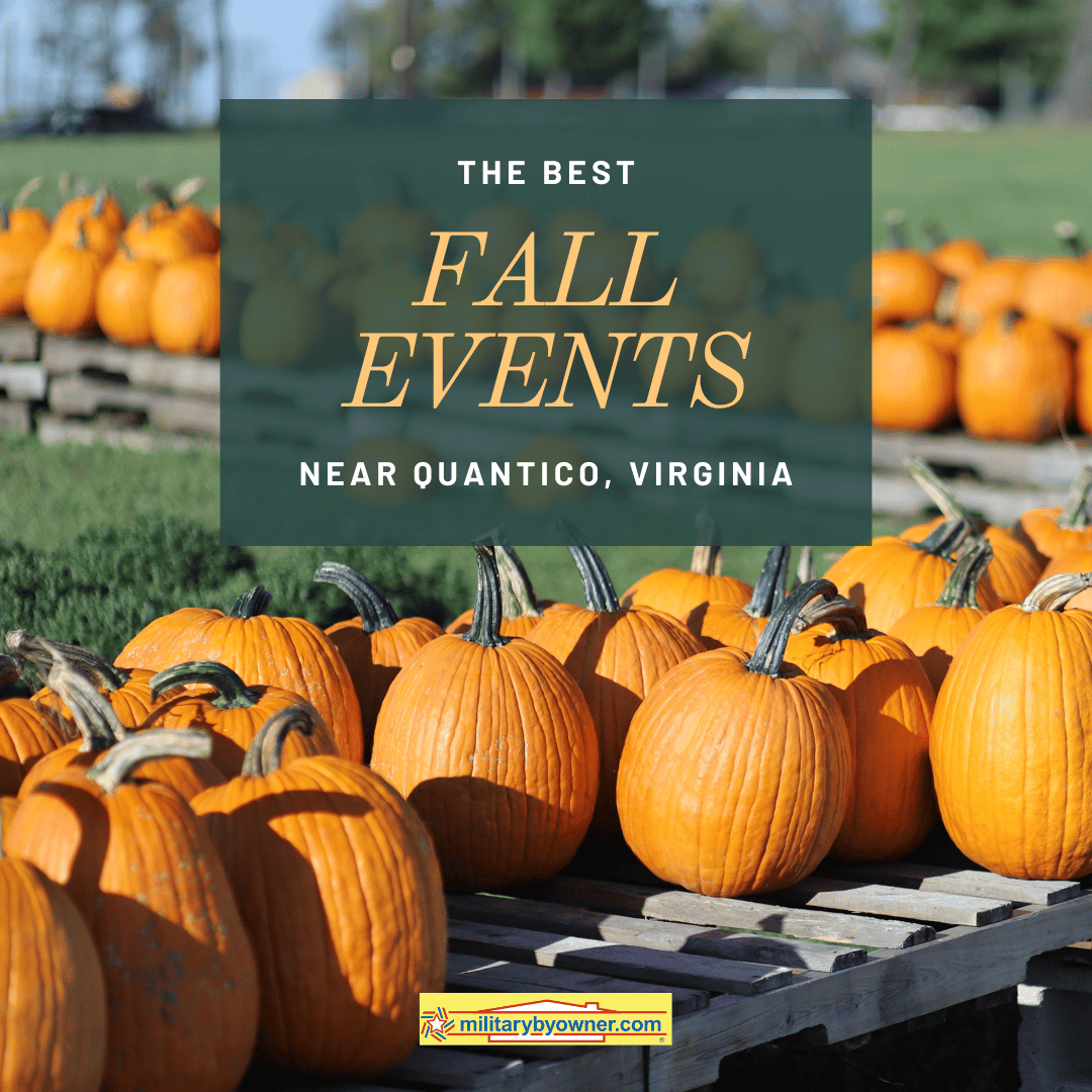view of pumpkin patch and green field with text 9 Fall Events Near Quantico, Virginia