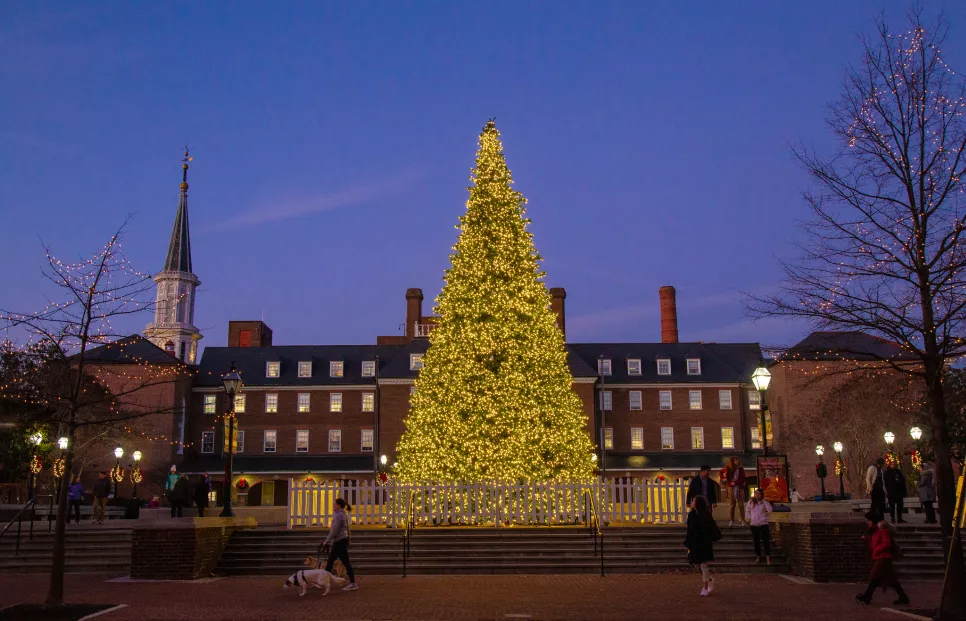 Alexandria_Christmas_tree_lighting