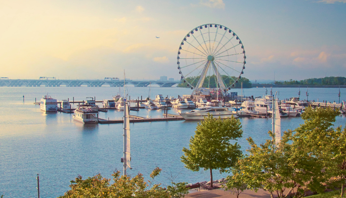 Marina at National Harbor with ferris wheel and bridge in the background. 