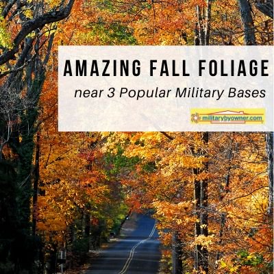 Amazing_Fall_Foliage