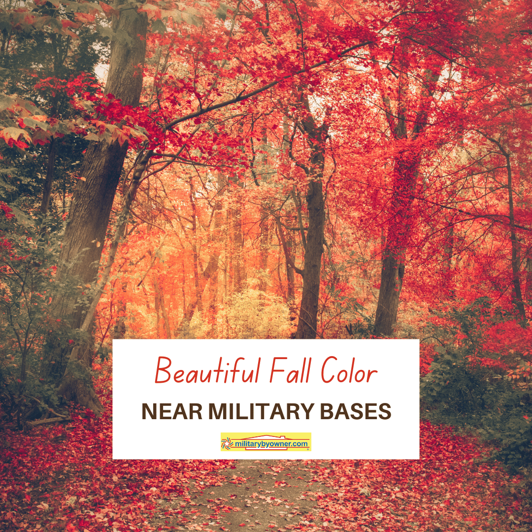 Beautiful_Fall_Color_Near_Military_Bases_(Instagram_Post_(Square))