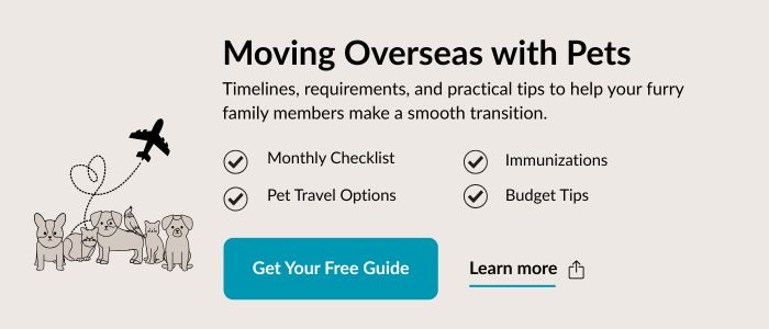 CTA_Moving_Overseas_With_Pets