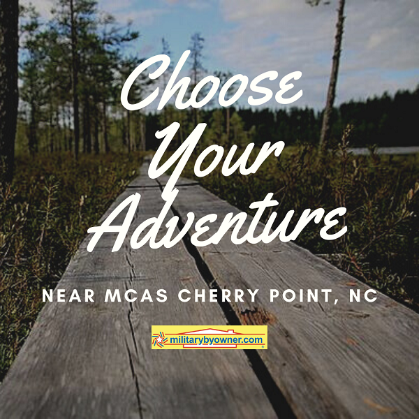 Choose_Your_Adventure_Cherry_Point