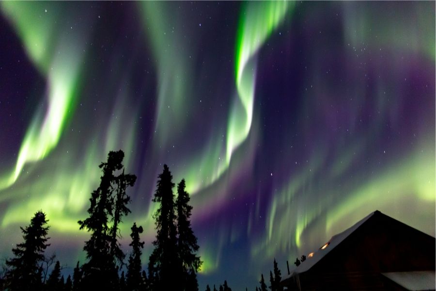 green northern lights in night sky against pine trees and rooftop