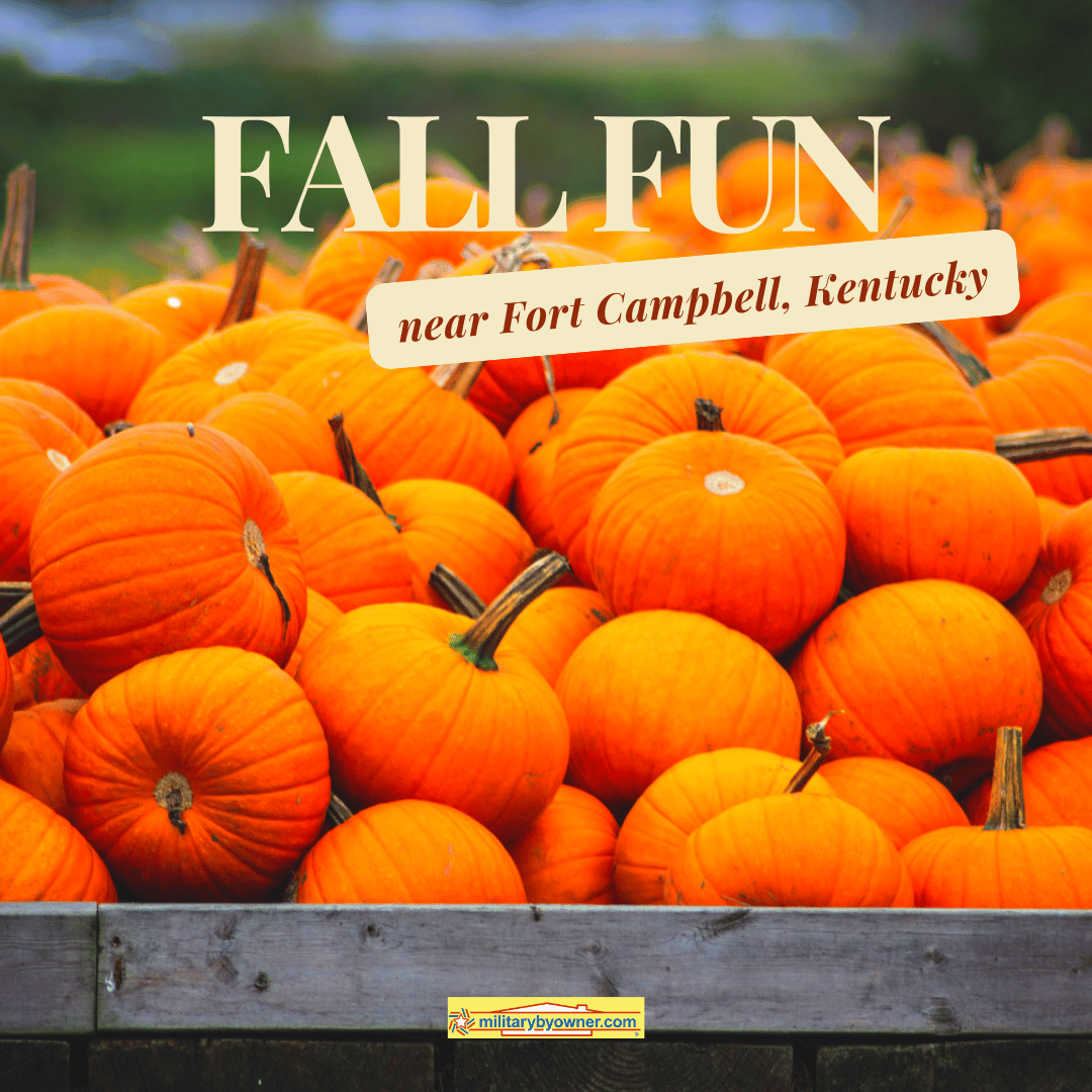 Fall_Fun_Near_Fort_Campbell_(Instagram_Post)