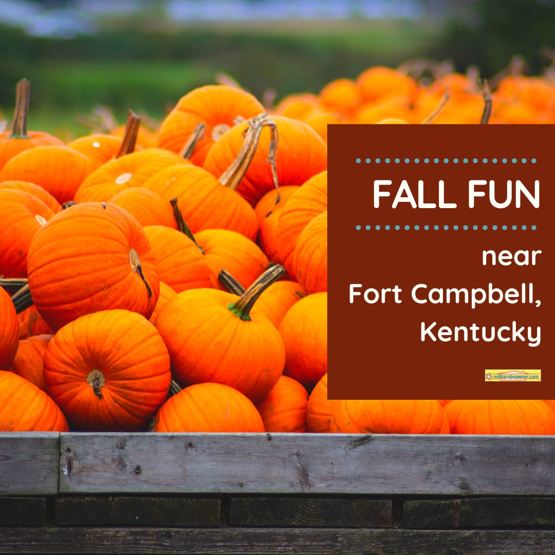 Fall_Fun_Near_Fort_Campbell_(Instagram_Post_(Square))