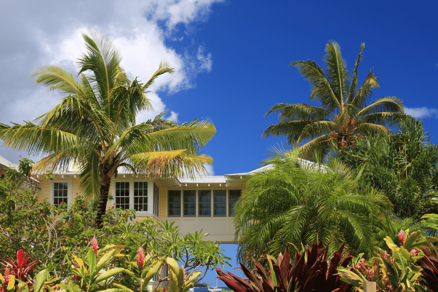 one level home with palm trees Hawaii