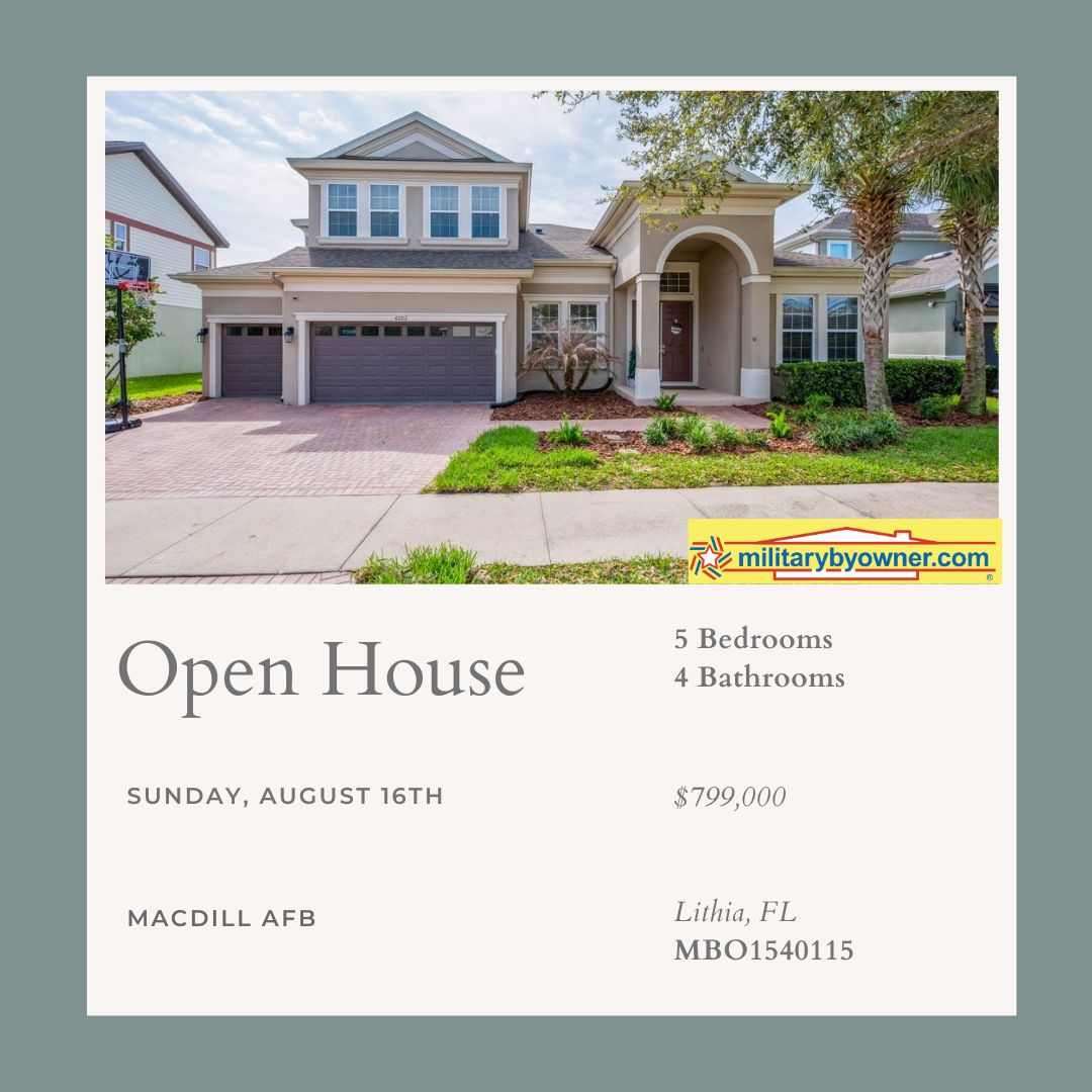 Lithia_FL_home_for_sale_(12)