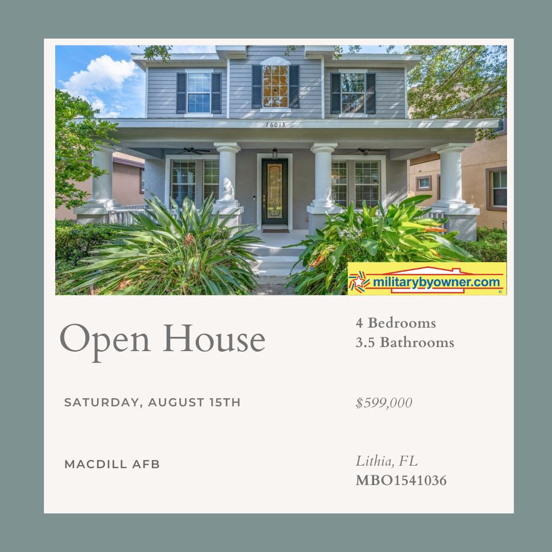 Lithia_FL_home_for_sale_(13)