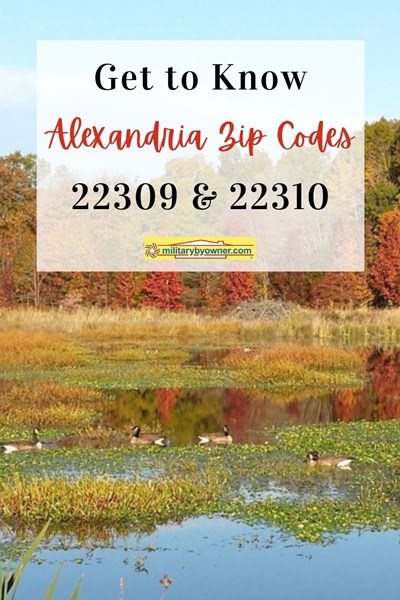 Alexandria_Zip_codes_22309_and_22310