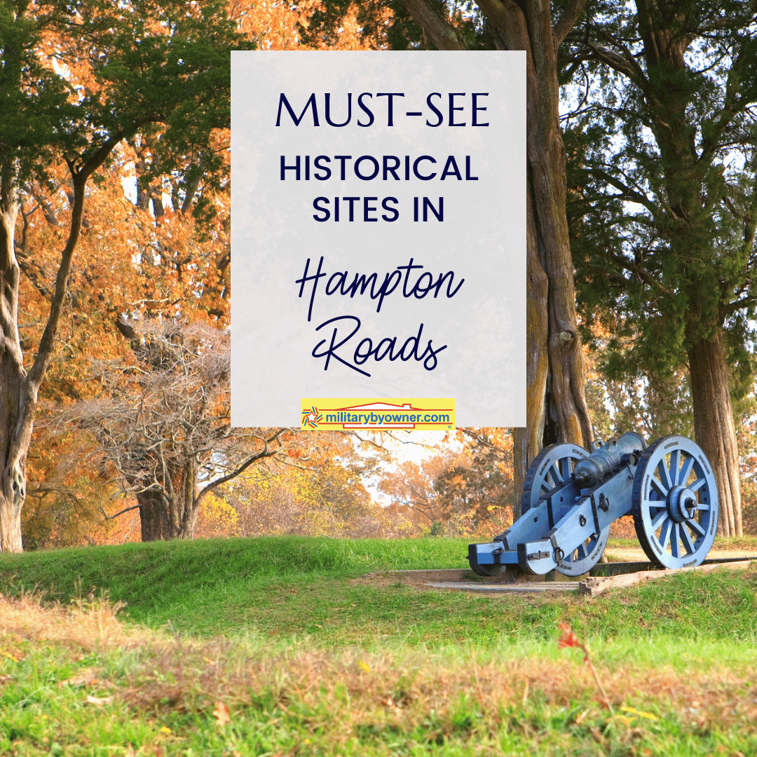 wooded area with civil war cannon