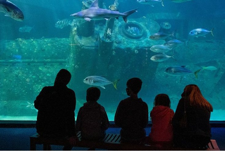 NC_aquarium