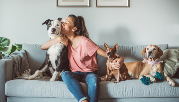 Woman affectionately snuggling with three dogs on couch. 