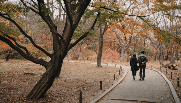 Couple walking together on path through fall foliage on a chilly day. 