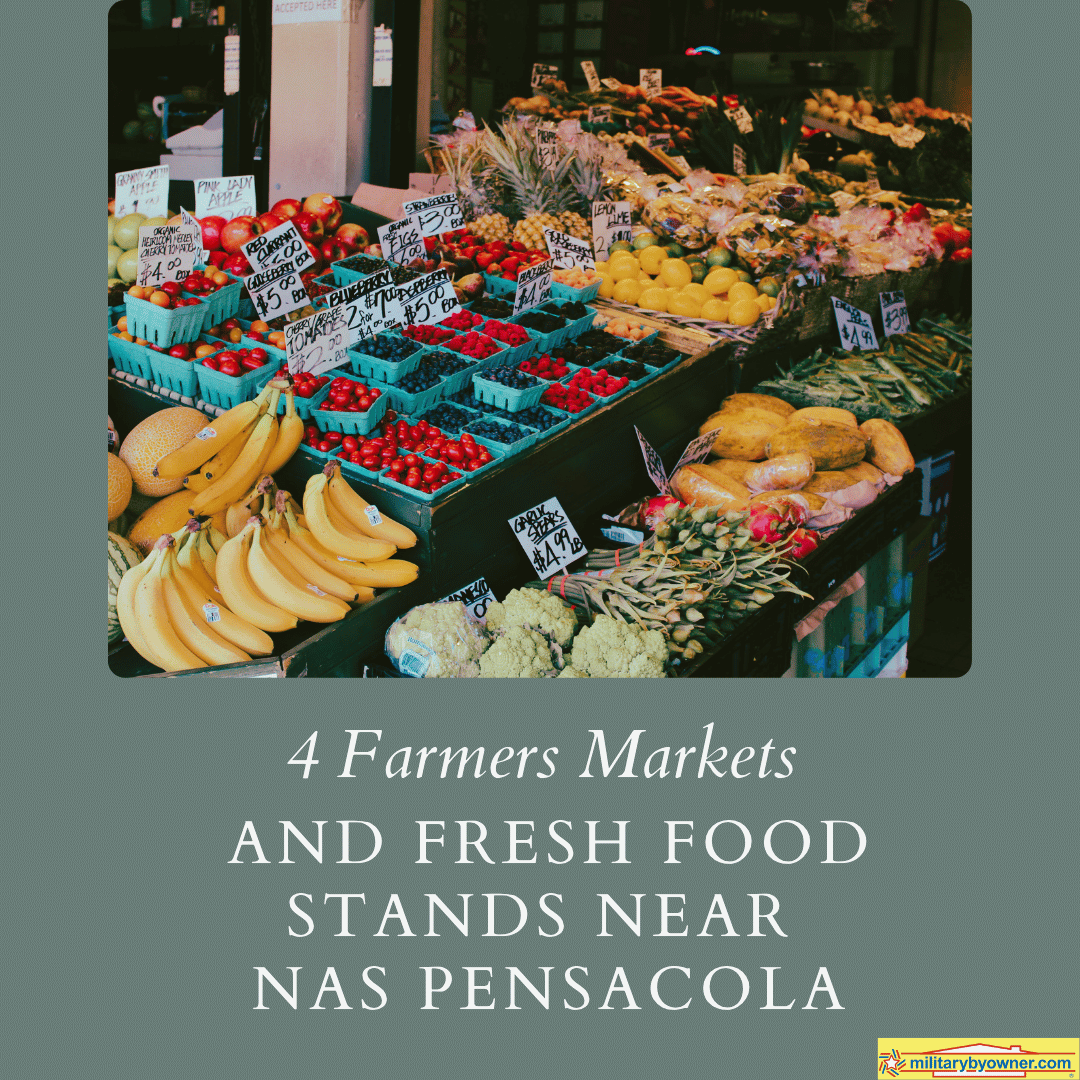 SQ_4_Farmers_Markets___Fresh_Food_Stands_(Instagram_Post)