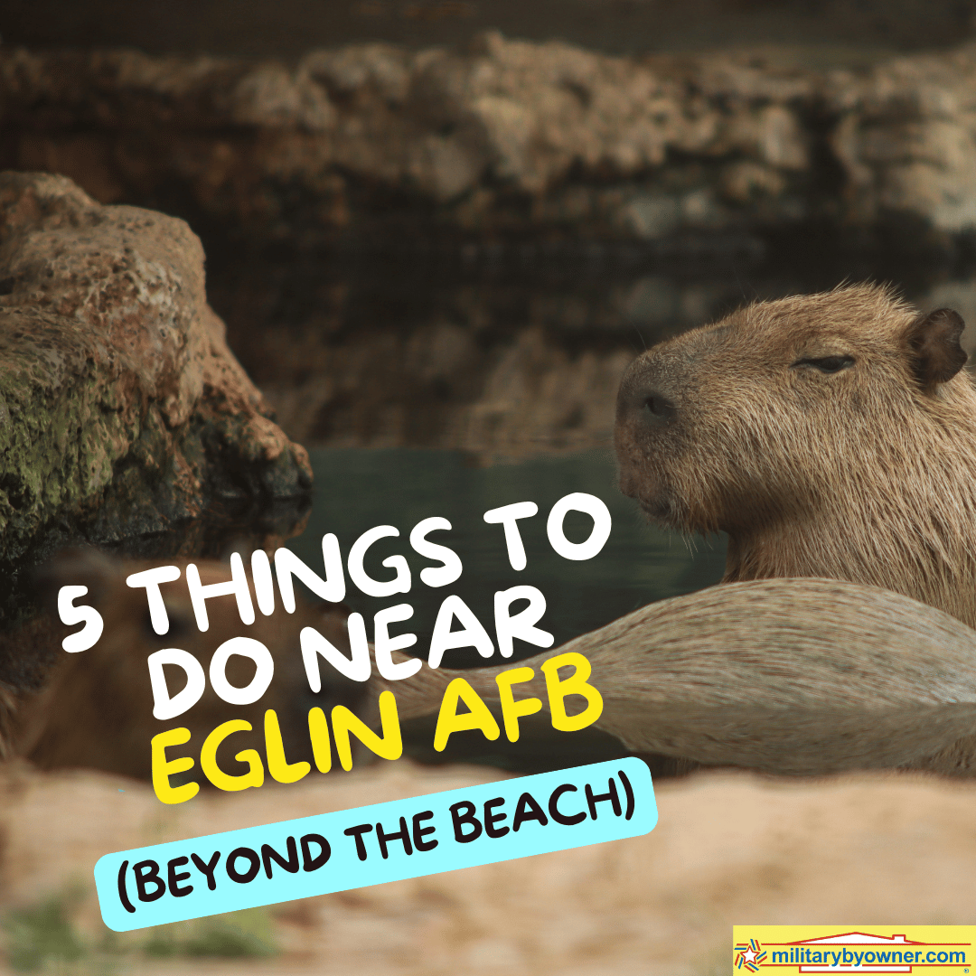 SQ_5_Things_to_Do_Near_Eglin_AFB_(Beyond_the_Beach)_(Instagram_Post)