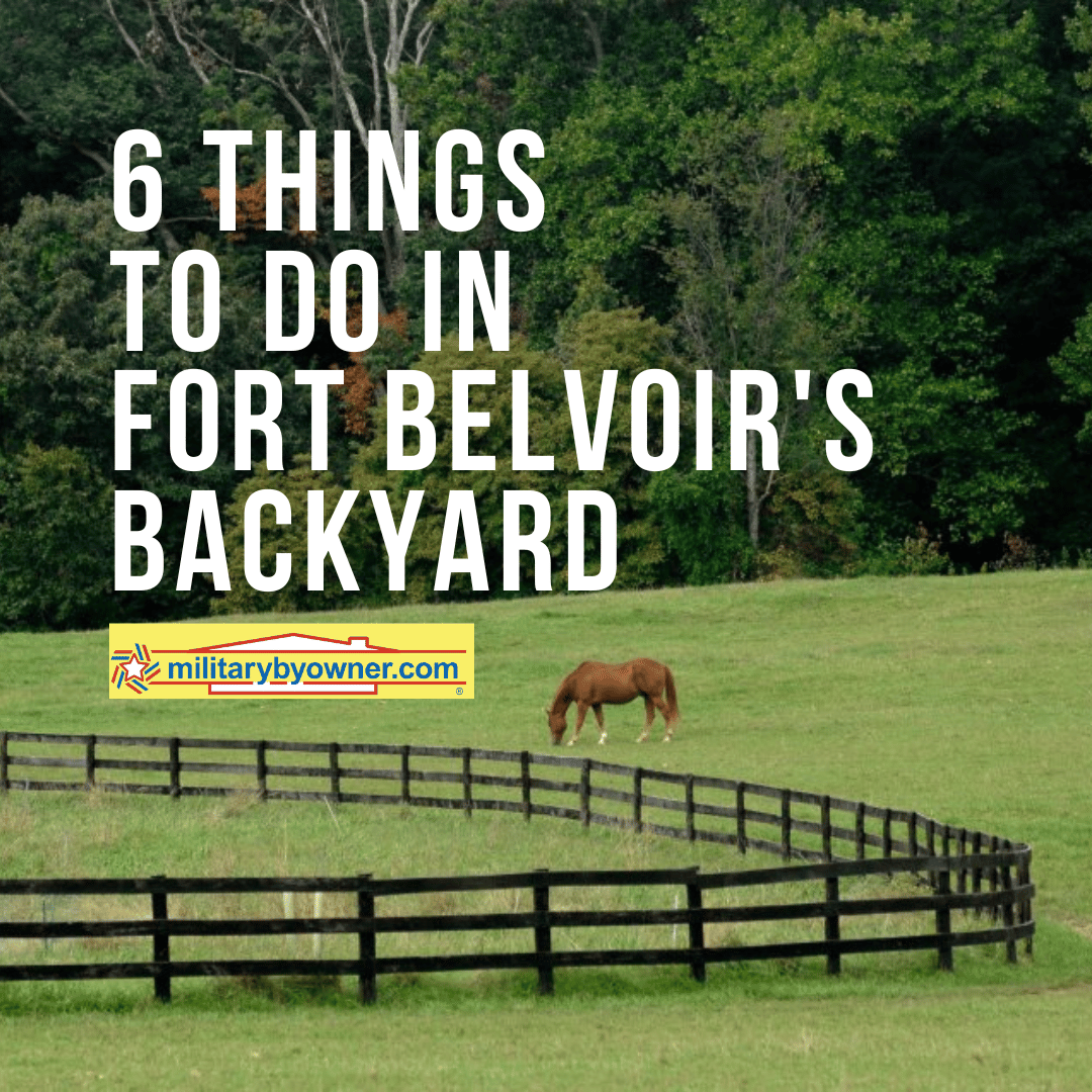6 Things to Do In Fort Belvoir's Backyard 