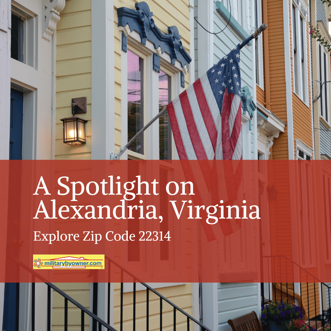 American flag hanging outside colorful townhomes with text, A Spotlight on Alexandria, Virginia Explore Zip Code 22314
