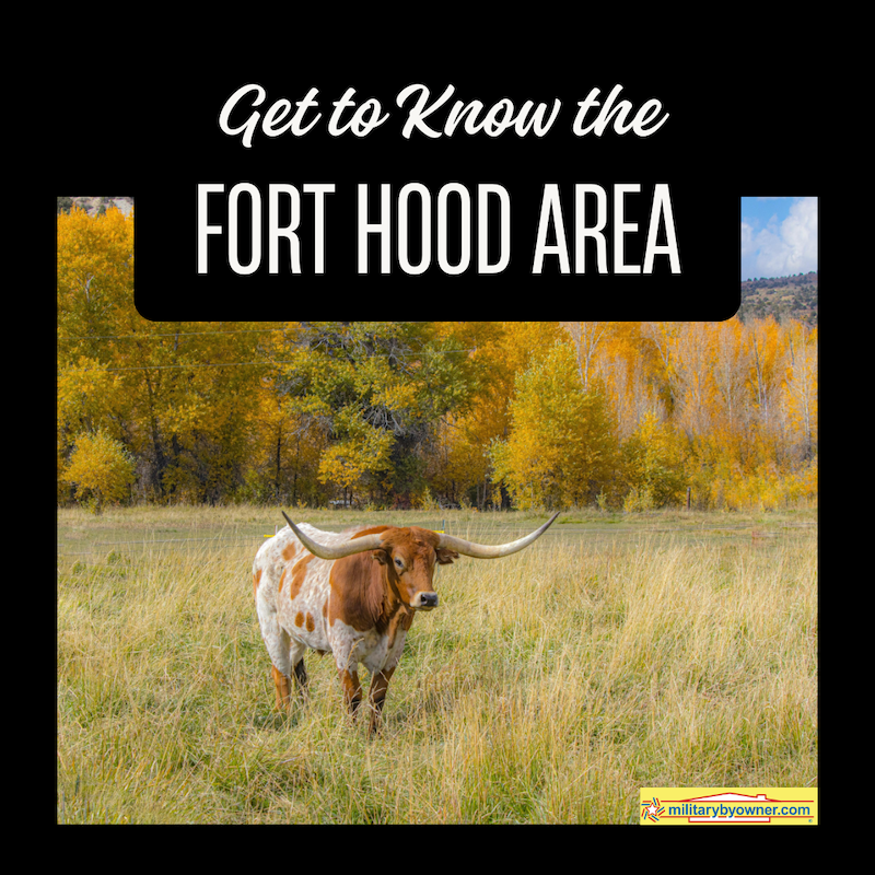 SQ_Get_to_Know_the_Fort_Hood_Area_(Instagram_Post)
