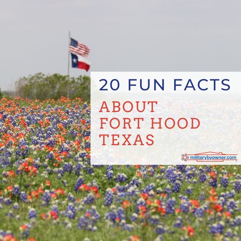 field of red and blue flowers with american and texas flags in background with text_20_Fun_Facts_About_Fort_Hood,_Texas_(1)