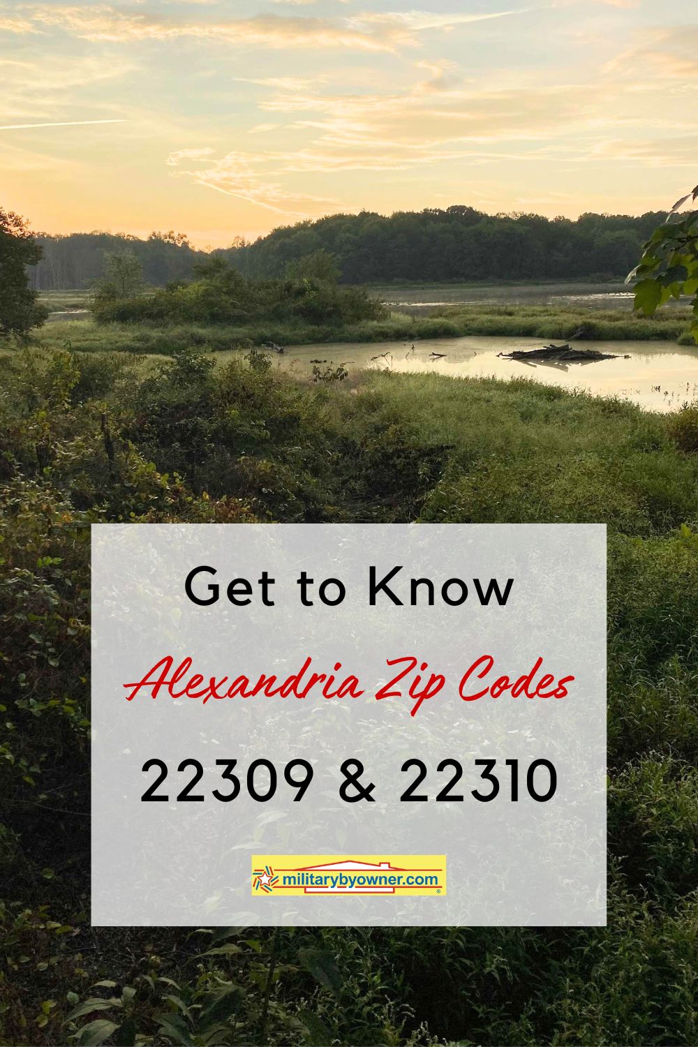 A Spotlight On Alexandria, Virginia, Zip Codes 22309 and 22310